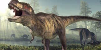 ডাইনোসর এর শুরু থেকে শেষ পর্যন্ত জানা ও অজানা কিছু তথ্য