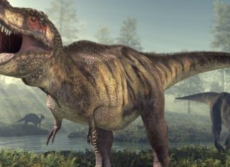 ডাইনোসর এর শুরু থেকে শেষ পর্যন্ত জানা ও অজানা কিছু তথ্য