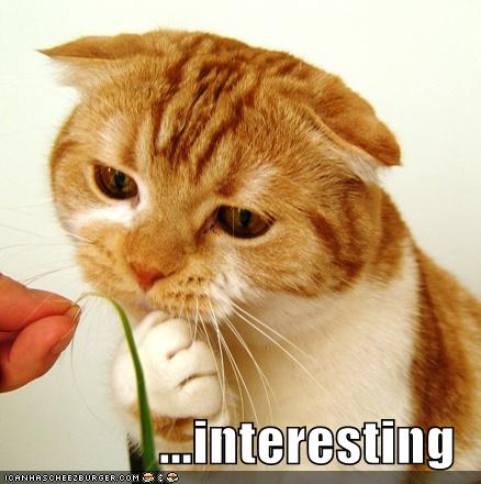 মজার এবং অদ্ভুদ কিছু তথ্য