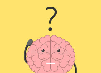 প্যারাডক্স (PARADOX)